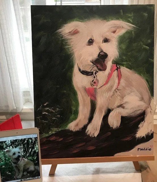 Heather's painting of Maddie, a fluffy white dog